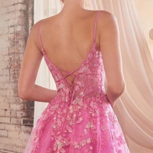 NEW A-LINE SLEEVELESS FORMAL TULLE DRESS EMBROIDERED WITH FLORAL LACE CD CM347 - Picture 6 of 10